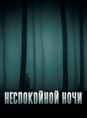 Неспокойной ночи